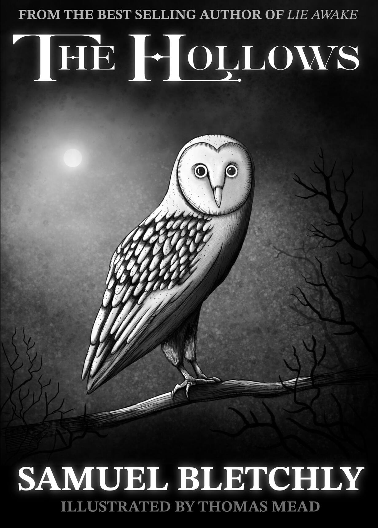 Book cover mock up